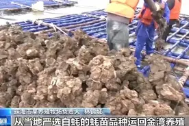江门到珠海仅需30分钟！黄茅海跨海通道极大便利两地物流运输图片