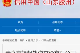 无建筑工程施工许可证擅自施工，青岛鑫福帆轨道交通有限公司被罚4.5万图片