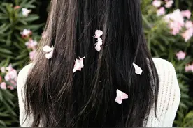 春风得意二月二，理发去旧，一年都有精神头！图片