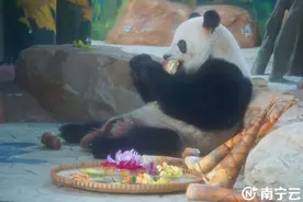 为动物特制“中秋大餐” 南宁动物园花样过中秋图片