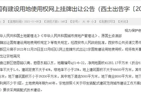 “煤老板”接手曲江太平坊图片