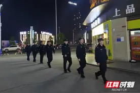 桃源公安开展集中清查行动图片