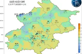 注意防护！北京明晚有沙尘 花粉也快来了图片