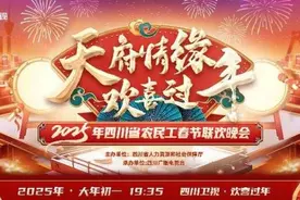 2025年四川农民工春晚——致敬奋斗者 逐梦新征程图片