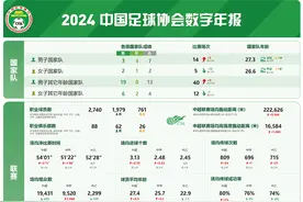 现有职业球员总数2740人 中国足协发布2024数字年报图片