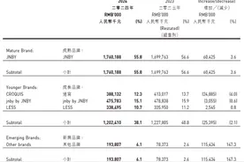 江南布衣2025上半财年营收净利双增 “粉丝经济”激活全域零售图片