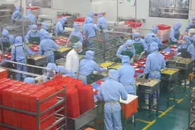 走进石狮一食品产业园，揭秘学生营养餐全流程图片