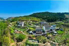 市州观察丨解锁广元市利州区宜居宜业和美乡村建设密码图片