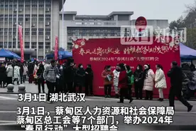 5200多个岗位等你来挑，蔡甸区举办大型招聘会图片