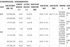 控股股东超九成持股被标记、冻结，杉杉股份控制权可能生变？图片