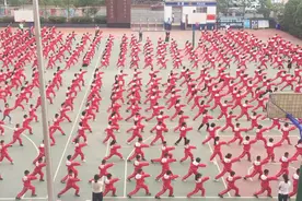 曲靖麒麟：传统武术进校园 传承文化强体魄图片