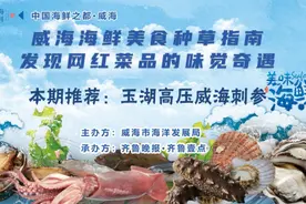 "走遍四海，鲜在威海"海鲜美食推荐——玉湖高压威海刺参图片