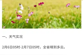因江面风大 江苏多条汽渡临时停航图片