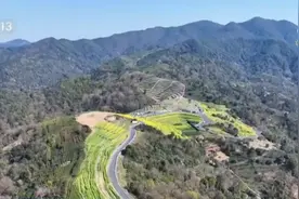 低空赏花、竹排泛舟……春日经济“金”满地 沉浸式体验“花漾生活”图片