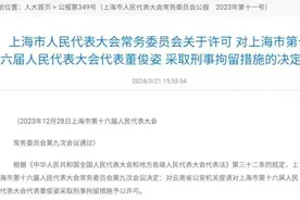 薇诺娜母公司联合创始人、前董事被批准刑拘，还是皮宝大股东图片
