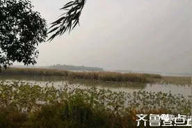 济宁老运河半日游图片