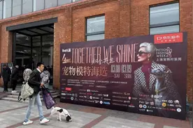 第四届上海宠物时装周3月28日启动图片