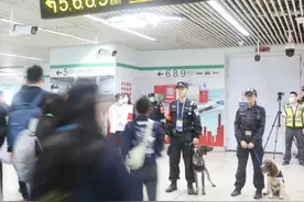 7点上岗、日巡3万步……进博会上，“汪汪队”立大功图片