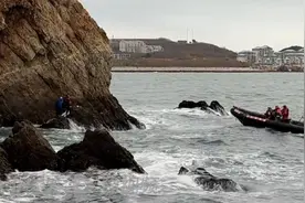 大连4名驴友海边攀岩遭遇涨潮，目击者：一女子2次被浪拍落海中后身亡图片