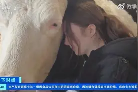 英国流行减压新方式：去农场拥抱奶牛，门票几百元还得提前数月预订图片