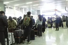 韩国人赴张家界周末游火热 游客：都在推荐张家界，希望能看到《阿凡达》电影里面壮观的自然景观图片