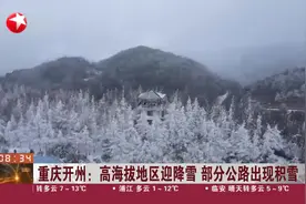重庆开州：高海拔地区迎降雪 部分公路出现积雪视频封面