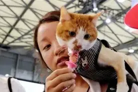 能带“毛孩子”坐高铁了？ 携宠出行市场仍待规范图片