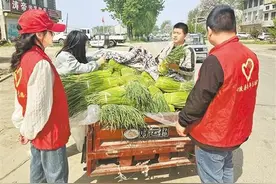 阳驿乡：政府服务好 蒜薹销售忙图片