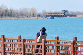 马踏湖：春意满园 心随景动图片