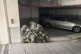 筑牢城市安全防线！静安各街道严阵以待做好台风防御应对各项工作｜防御台风“贝碧嘉”图片