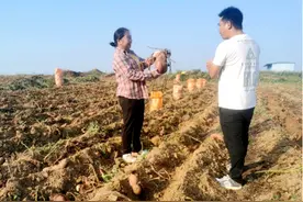 匠心筑梦，红薯粉香飘四方图片