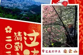 广州白云山：拍摄路线奉上，来“城市氧吧”拍照打卡吧！丨请到广东过大年图片