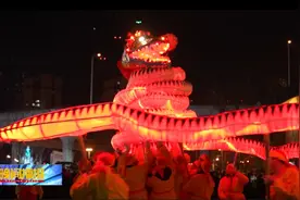 600年的“灵蛇”，你见过吗？图片