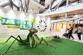 插画艺术与自然科学的碰撞！陈伯吹国际儿童文学奖原创插画展亮相上海自然博物馆图片