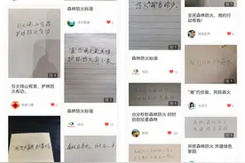 期待有创意的你！湖南省森林防火标语征稿火热进行中图片