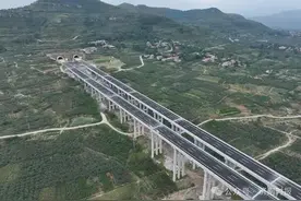 山东这条高速，今日通车！图片