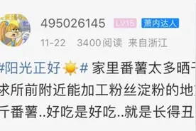 最近杭州很多人都在找！网友：这手艺怕是要失传？图片