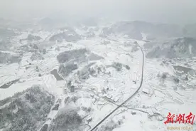 应对低温雨雪天气｜以雪为号 闻令而动——泸溪县小章乡举全乡之力抗风雪、保畅通、暖民心图片