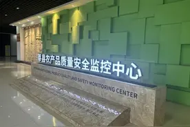 这里的大棚可取暖，看看莘县蔬菜的“致富经” ｜ 改革成果看山东图片