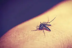 太烦了！最近常被“不速之客”折腾整晚睡不着，只因少做这件事...图片