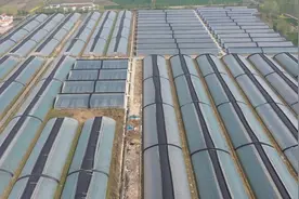 保障蔬菜供应！抗寒保暖，淮阴这么做……图片