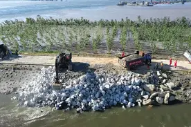 洞庭湖大堤决堤，救援队讲述抢险进展：封堵卡车被冲走，正修筑会车平台加快倒料图片