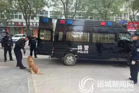 治理流浪犬只 消除安全隐患图片