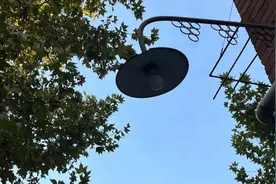 上海“梧桐区”钻石地段，藏着这个野花园图片