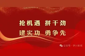 伊川人看过来！第42届中国洛阳牡丹文化节活动安排，出炉！图片