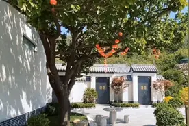 泰安花筑奢·利乐和喜苑民宿入选国家乙级旅游民宿图片