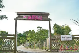 谱写现代田园诗 燃旺乡村烟火气图片
