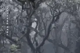 爆火的哀牢山，是什么来头？图片