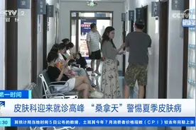 “桑拿天”警惕夏季皮肤病！医生：做好防晒、小心虫咬皮炎图片
