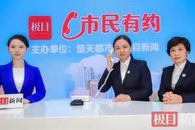 极目新闻“市民有约”聚焦办证那些事儿：湖北省内不动产登记可异地办理图片